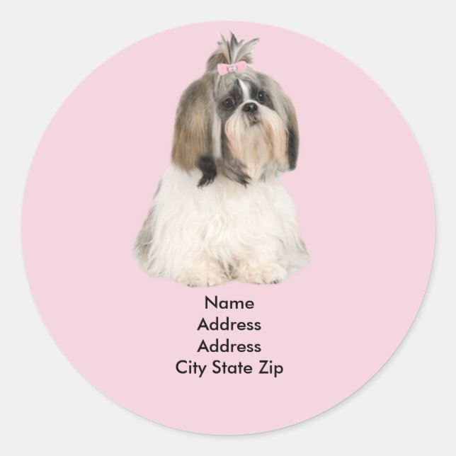 Shih Tzu Étiquette de adresse (Devant)