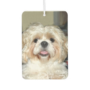 Shih Tzu face Autolufterfrischer