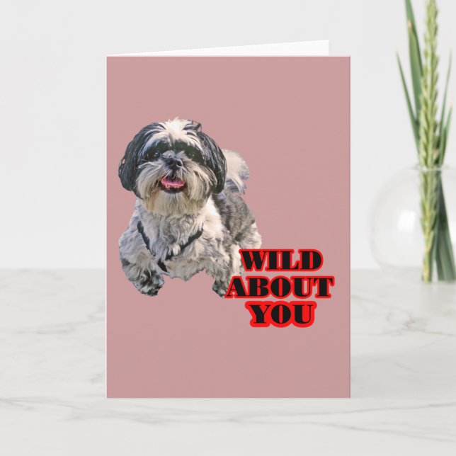 Shih Tzu Feiertagskarte (Vorderseite)