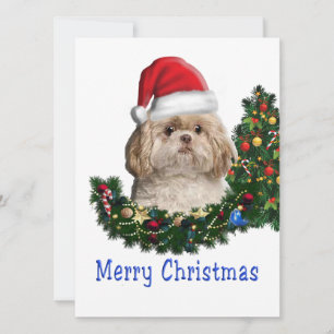shih tzu feiertagskarte