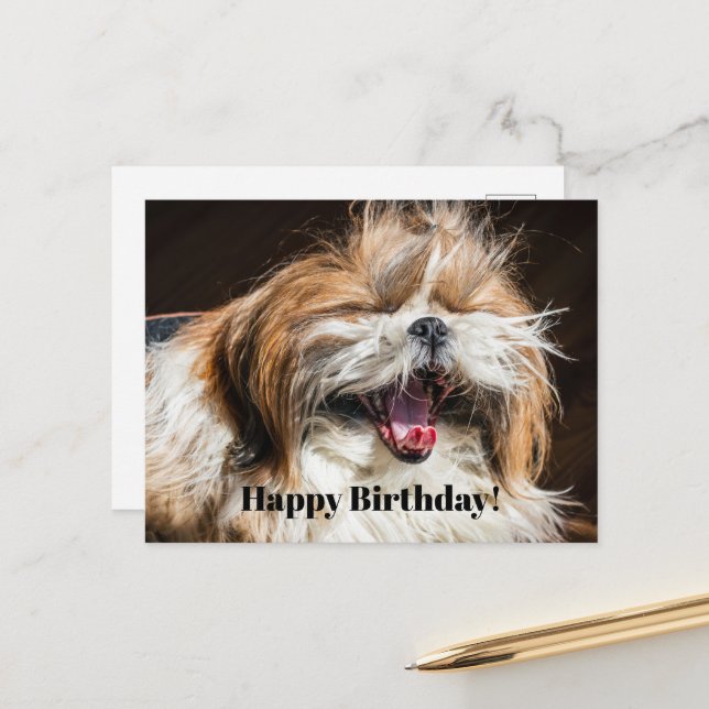 Shih tzu gähnend lachend lustig Glücklicher Geburt Postkarte (Vorderseite/Rückseite Beispiel)
