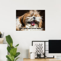 Shih tzu gähnend lachender lustiger Text anpassen