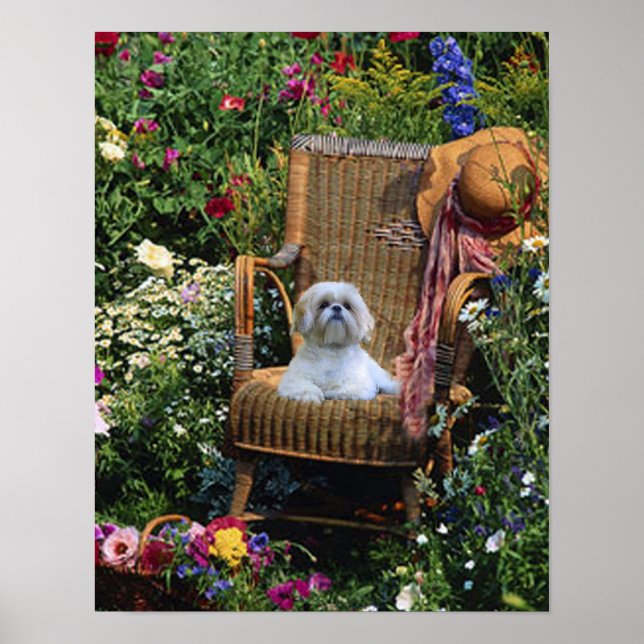 Shih Tzu Garden Poster (Vorne)