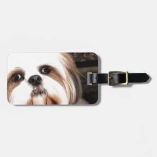 Shih Tzu Gepäckanhänger