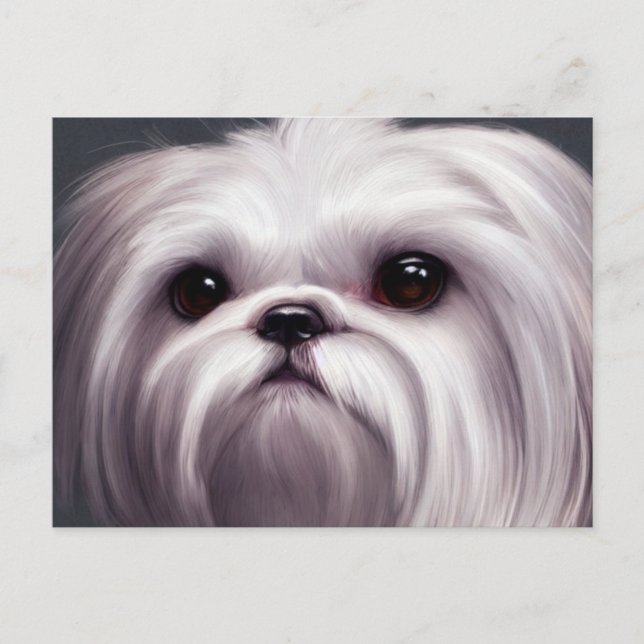 Shih Tzu Greetings Postcard Postkarte (Vorderseite)