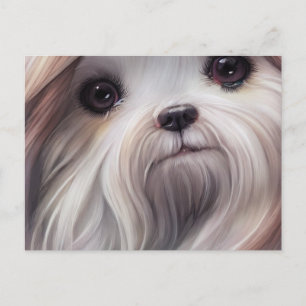Shih Tzu Greetings Postcard Postkarte