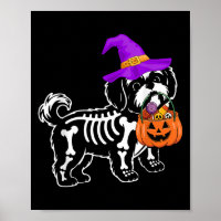 Shih Tzu Hund Halloween Soky Skeleton Trick or Tre