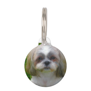 Shih Tzu Hund. Haustiermarke