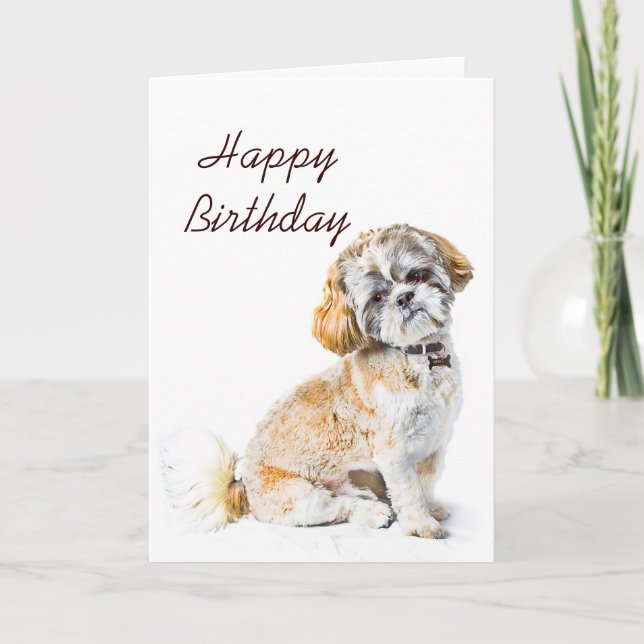 Shih Tzu Hund Hund Happy Birthday Card Karte (Vorderseite)