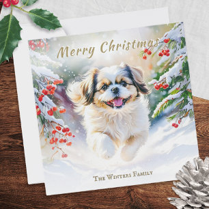 Shih Tzu Hund im Winterschnee Frohe Weihnachten