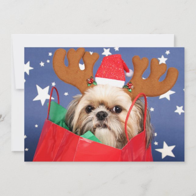 Shih Tzu Hund in einer roten Einkaufstasche (Vorderseite)
