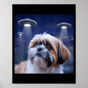 Shih tzu Hund shihtzu Hund Alien UFOs Shitzhu lust Poster