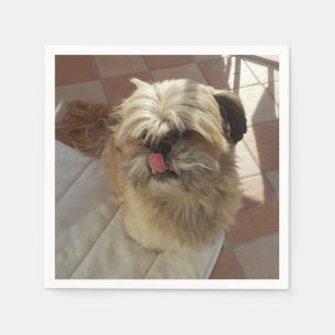 Shih Tzu Hundepapiernapkins Serviette