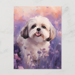 Shih Tzu in Lavender field Postkarte