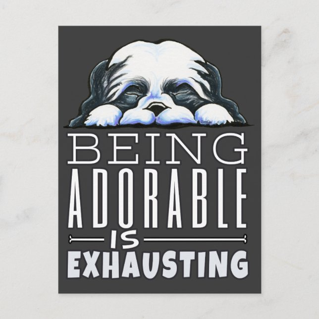 Shih Tzu ist bewundernswert Postkarte (Vorderseite)