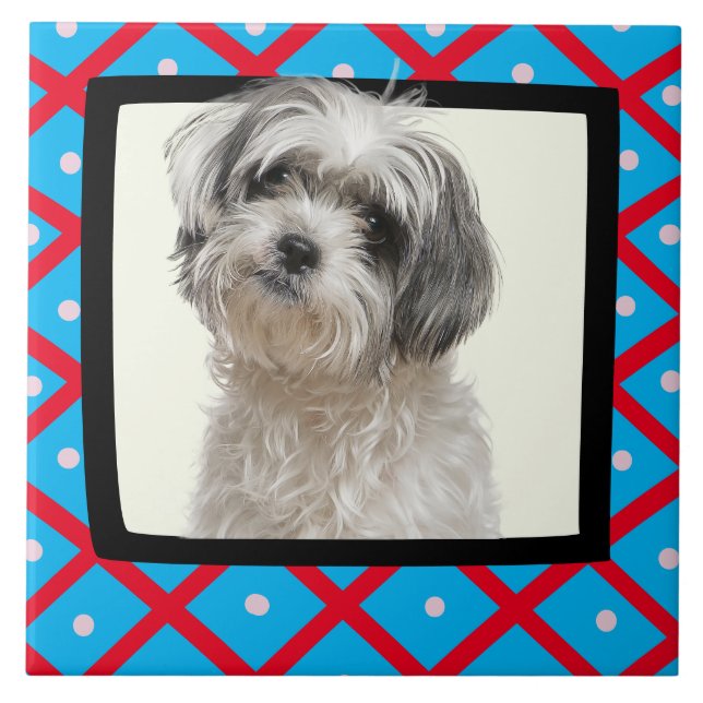 Shih Tzu - Keramik für individuelle Foto-Rahmen Fliese (Vorderseite)