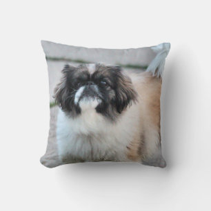 Shih Tzu Kissen