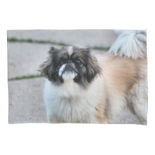 Shih Tzu Kissenbezug
