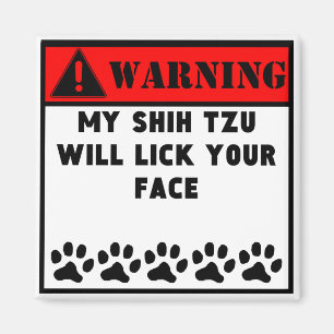 Shih Tzu leckt Ihr Gesicht Magnet