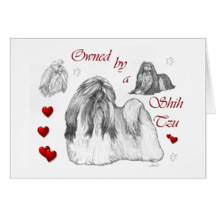 Shih Tzu Lovers Geschenke