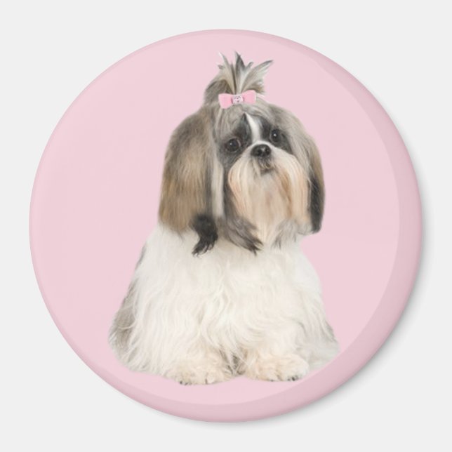 Shih Tzu Magnet (Vorne)