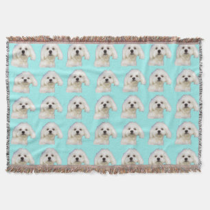 Shih tzu, maltesisch, Bichon Frise Welpe auf Blau Decke