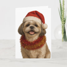 Shih Tzu mit Weihnachtsmannmütze Weihnachtskarte