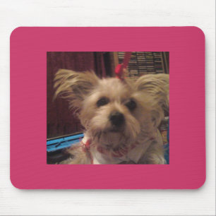 Shih Tzu Mousepad