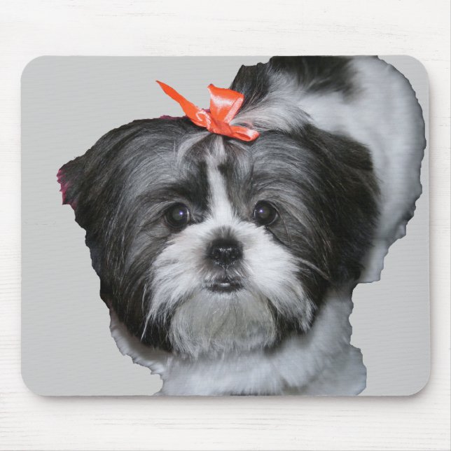 Shih tzu mousepad (Vorne)