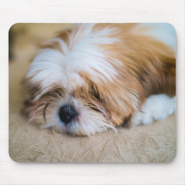 Shih Tzu Mousepad (Vorne)