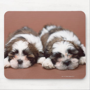 Shih Tzu Mousepad