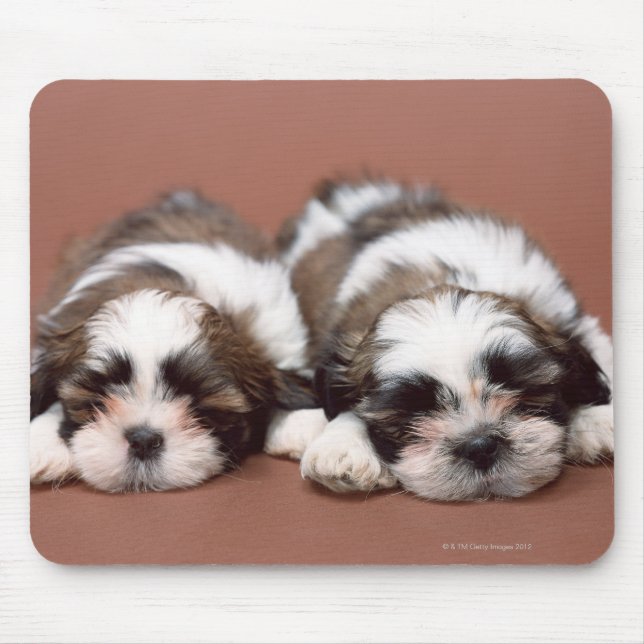 Shih Tzu Mousepad (Vorne)