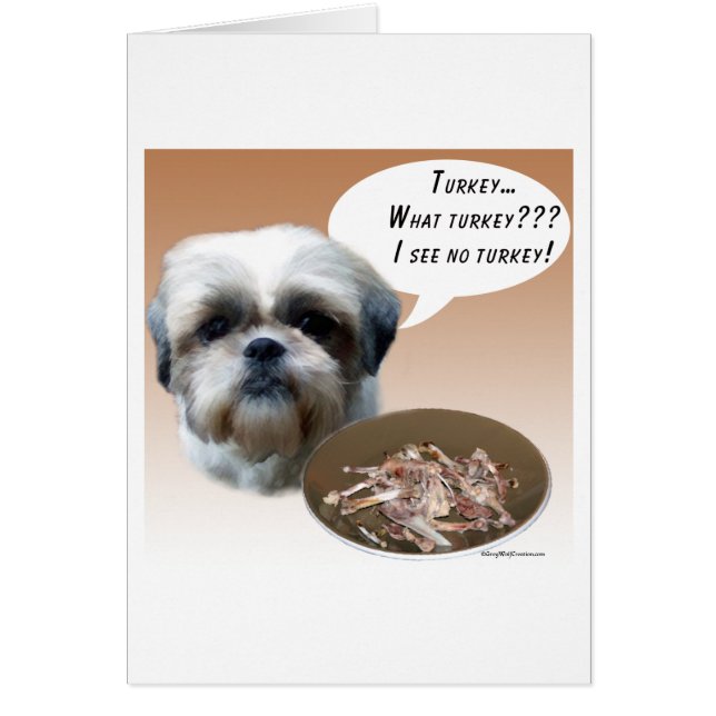 Shih Tzu (natürlich) Türkei (Vorne)