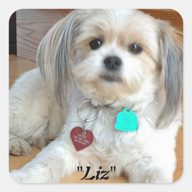 Shih Tzu nennt Liz Sticker (Vorderseite)