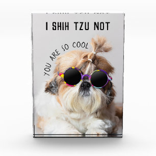 Shih Tzu Nicht lustige niedliche Hunde Liebhaber C Fotoblock