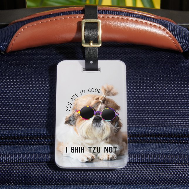Shih Tzu Nicht lustige niedliche Hunde Liebhaber C Gepäckanhänger (Vorderseite Insitu 2)