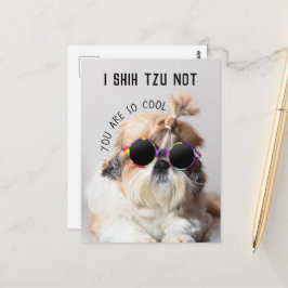 Shih Tzu Nicht lustige niedliche Hunde Liebhaber C Postkarte