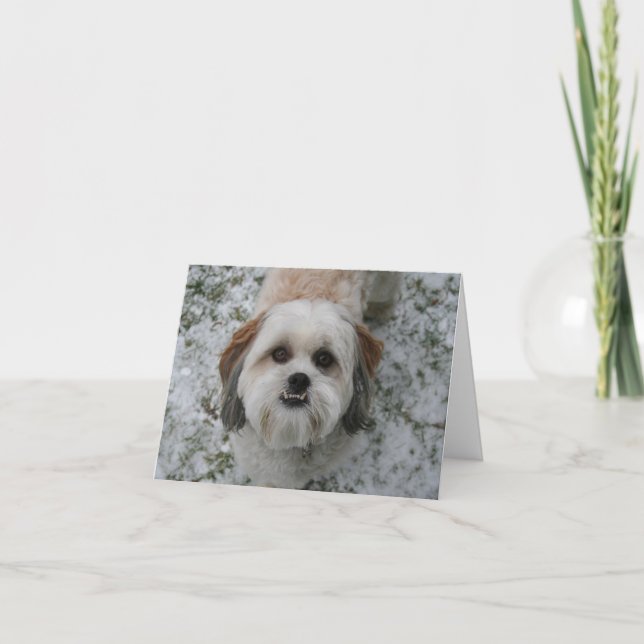 Shih-Tzu Niedlich Adorable Dog Weihnachten (Vorderseite)