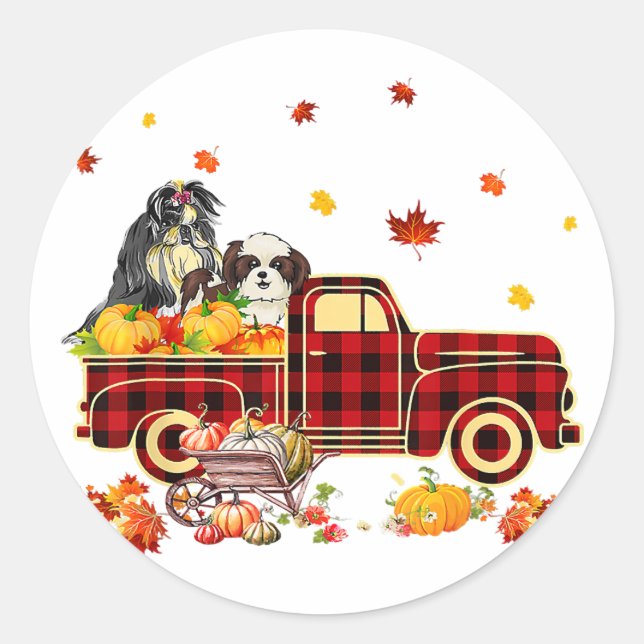 Shih Tzu Pumpkin Truck | Fall Leaf Thanksgiving Runder Aufkleber (Vorderseite)