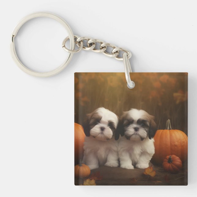 Shih Tzu Puppy Automne Citrouille de plaisir (Devant)