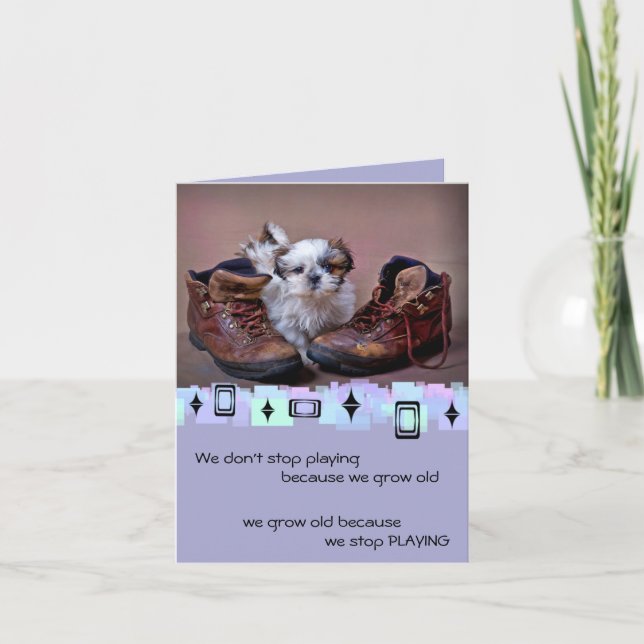 Shih Tzu Puppy Birthday Greetings Karte (Vorderseite)