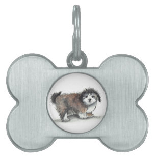 Shih tzu Puppy Dog, Haustier Tiermarke