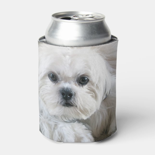 Shih Tzu Puppy Dosenkühler (Kanne Vorderseite)