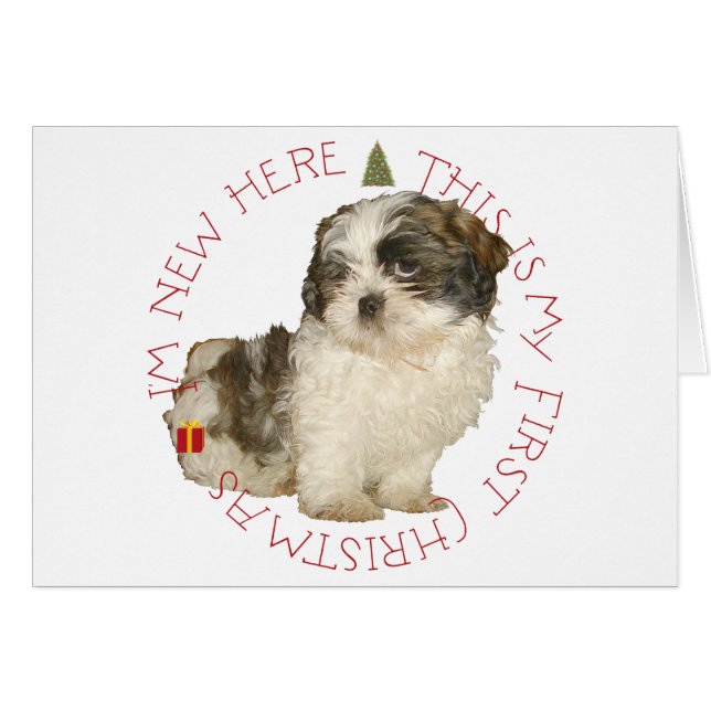 Shih Tzu Puppy First Christmas (Vorderseite (Horizontal))