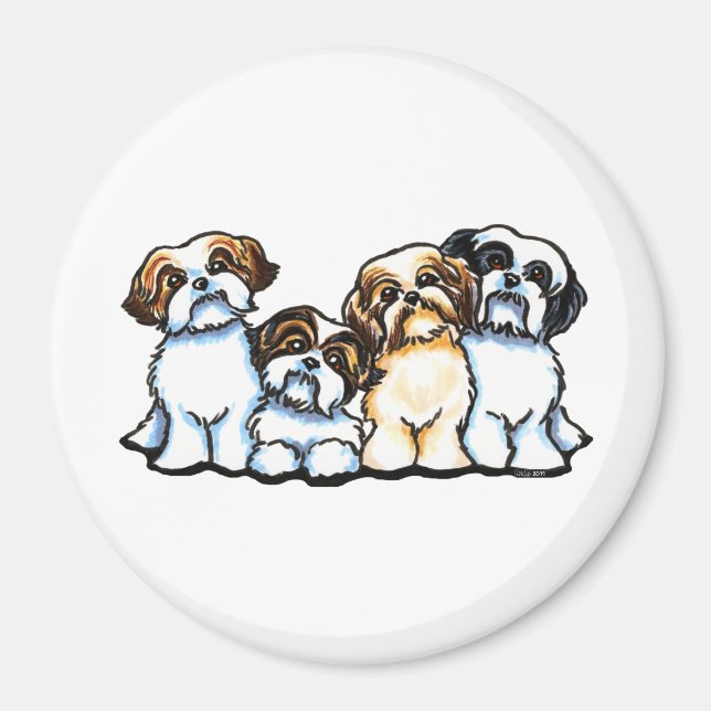 Shih Tzu Quarttet Magnet (Vorne)