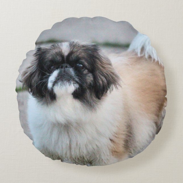 Shih Tzu Rundes Kissen (Vorderseite)
