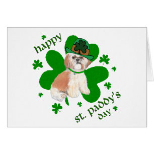 Shih Tzu Saint-Patrick