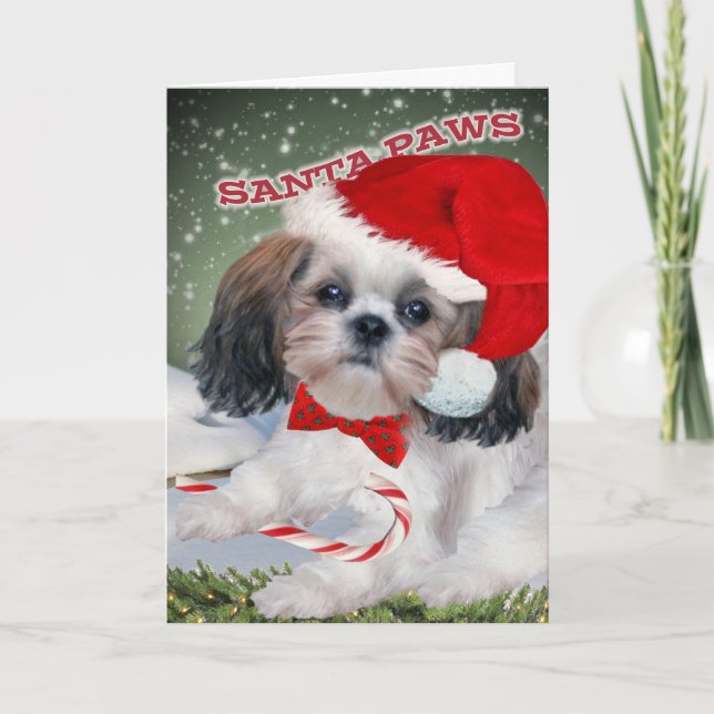 Shih Tzu Santa Paws Feiertagskarte (Vorderseite)