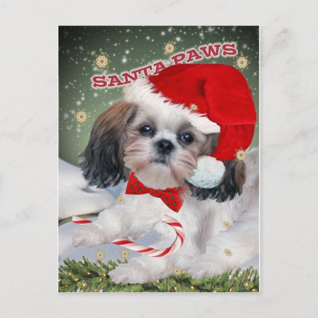 Shih Tzu Santa Paws Geschenke Feiertagspostkarte (Vorderseite)