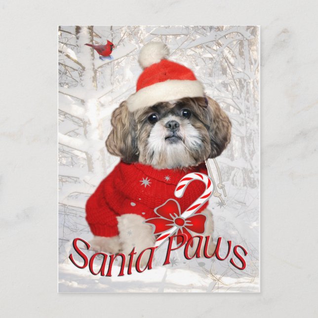 Shih Tzu Santa Paws Geschenke Feiertagspostkarte (Vorderseite)